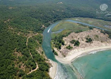An aerial view of a serene river winding through a lush forest, with a beautiful sandy beach nestled alongside it.