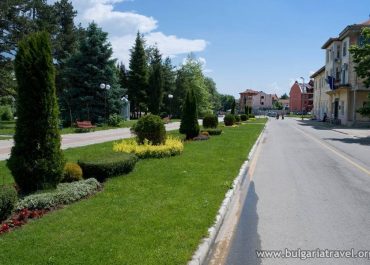 A scenic street in the heart of town, lined with trees and bushes, creating a serene and green atmosphere.