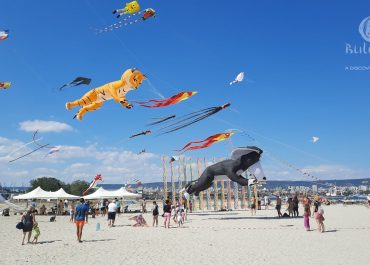 Kite Festival "Air Miracles"